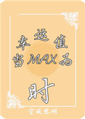 ��ϵͳ��������ֵΪmaxʱ