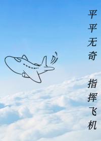 ƽƽ���棬ָ�ӷɻ�