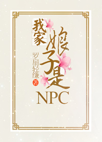 �Ҽ�������NPC