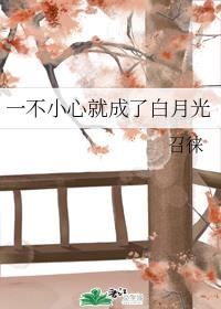 һ��С�ľͳ��˰��¹�
