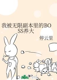 �ұ����޸������BOSS����