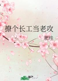 �ø��������Ϲ�