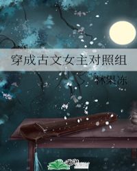 ���ɹ���Ů��������