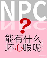NPC����ʲô��������[����]