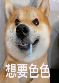 �����Ĺ�����÷����1V2��