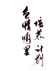 ɫ�����������ƻ�