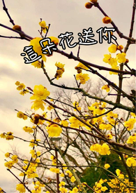 ��仨����