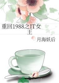 �ػ�1988֮ITŮ��