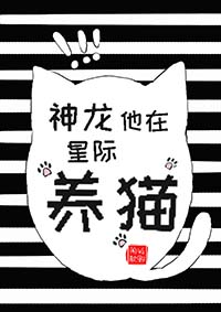 ���������Ǽ���è