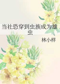 ����ִ��������Ϊ�۳�