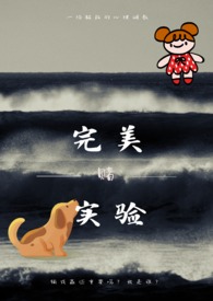 ����ʵ��